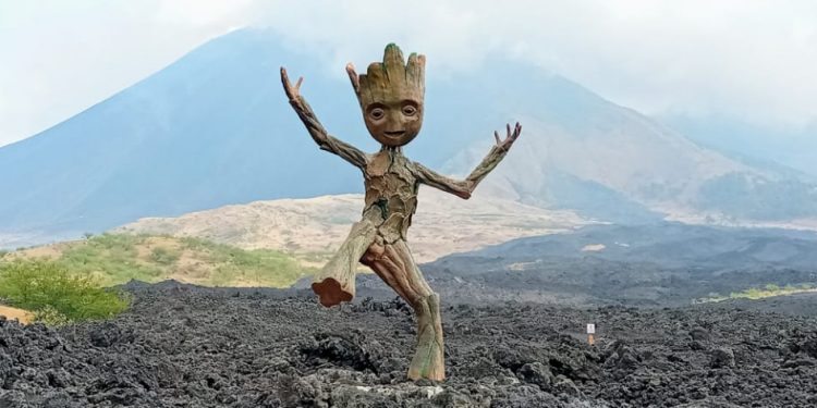 Groot la imagen de Finca el Amate