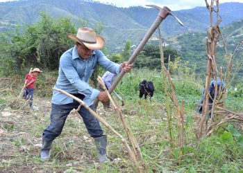 Agricultores de Guatemala