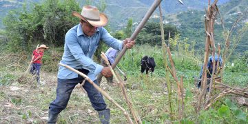 Agricultores de Guatemala