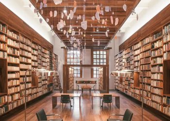 Ciudad de México abrirá bibliotecas y galerías tras baja de hospitalizados