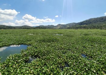 Laguna Chichoj