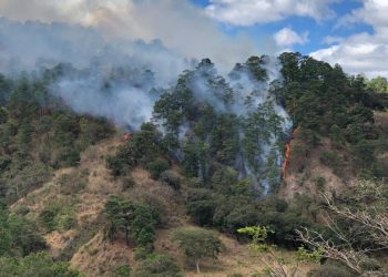 Conred informa acerca del incremento de los incendios forestales