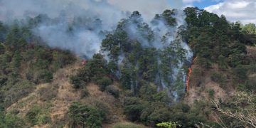 Conred informa acerca del incremento de los incendios forestales