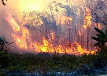 Ejército cuenta con cinco helicópteros para combatir incendios forestales