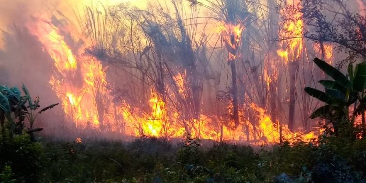 Ejército cuenta con cinco helicópteros para combatir incendios forestales