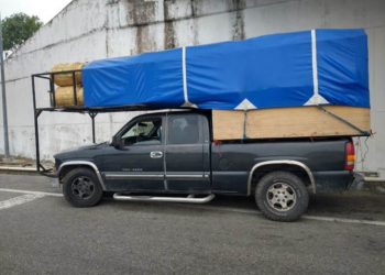 Autoridades de Guatemala apoyan y asisten a connacionales rescatados en Veracruz