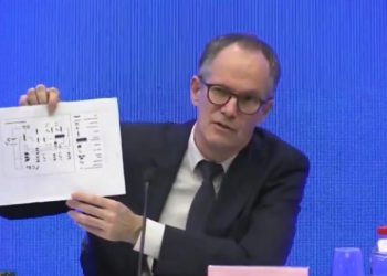 El COVID-19 no se originó en el mercado de mariscos de Wuhan, dice misión de la OMS