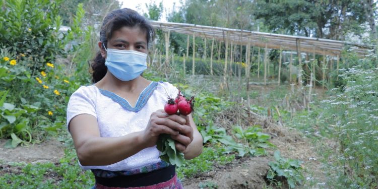 Mujer agricultora muestra productos