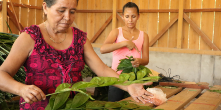 Acofop, impulsa programas del cuidado del medio ambiente