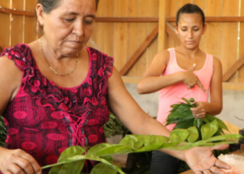 Acofop, impulsa programas del cuidado del medio ambiente