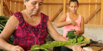 Acofop, impulsa programas del cuidado del medio ambiente