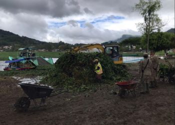 Extraen más de mil 700 toneladas de ninfa de la laguna Chichoj