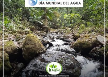 Inab promueve acciones para el cuidado del agua