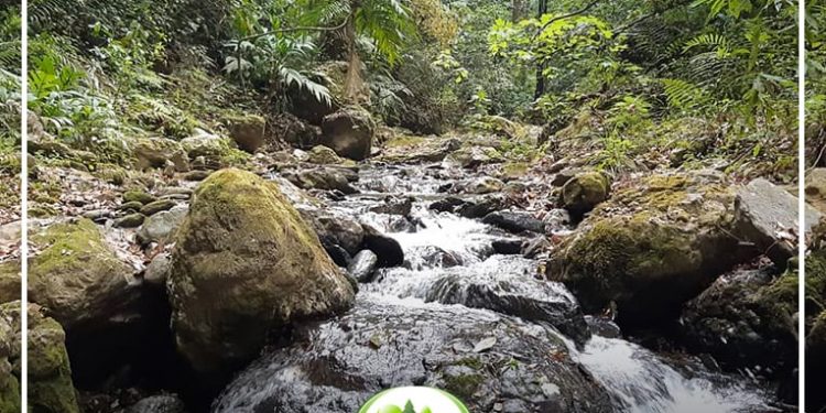 Inab promueve acciones para el cuidado del agua