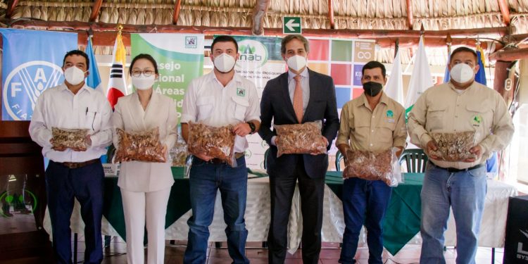 Donación de semillas Conap e Inab