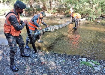 Ejército mantiene acciones de conservación y protección del medio ambiente