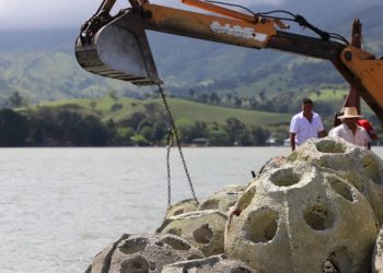 Colocan 200 arrecifes artificiales en el lago de Izabal