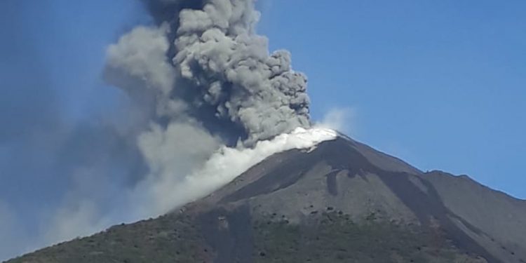 Volcán de Pacaya genera columnas de ceniza/Foto: Conred.