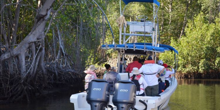 Realizan monitoreo de fauna marina en Santa Rosa