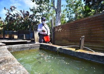 Gobierno generará fuentes de empleo y programas de asistencia para los guatemaltecos