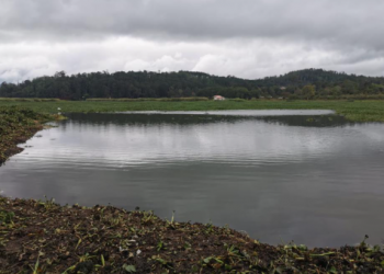 El MARN ejecuta planes para proteger la laguna Calderas