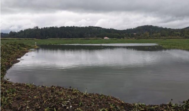 El MARN ejecuta planes para proteger la laguna Calderas