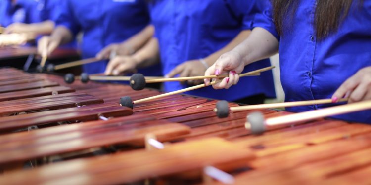 Marimba Femenina de Concierto: una mirada al papel de la mujer artista