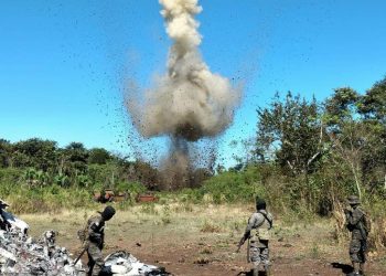 Inhabilitan pista clandestina en el parque nacional Laguna del Tigre
