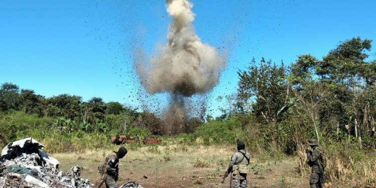 Inhabilitan pista clandestina en el parque nacional Laguna del Tigre