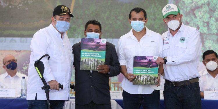 Jornada presidencial: Concesiones forestales continuarán por 25 años en Petén