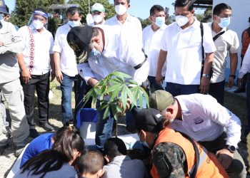 Presidente siembra ceiba con niños en Petén