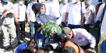 Presidente siembra ceiba con niños en Petén