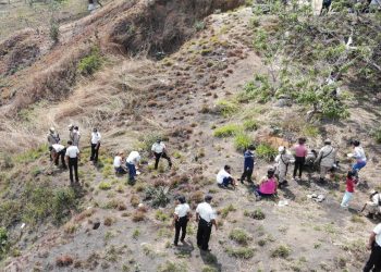 Realizan campaña de reforestación en colonia Nimajuyú