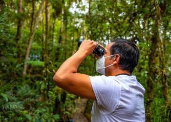 Promueven el aviturismo y conservación del quetzal