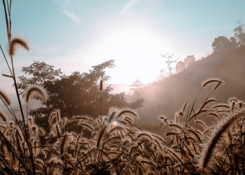 Se inicia la transición a la época cálida en Guatemala