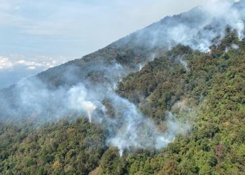 Unidades del Ejército realizan acciones para sofocar incendio en volcán Atitlán