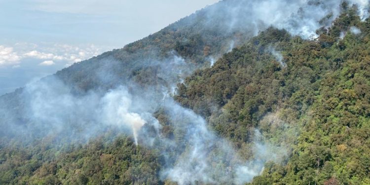 Unidades del Ejército realizan acciones para sofocar incendio en volcán Atitlán