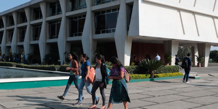 Mayoría de estudiantes y egresados universitarios son mujeres