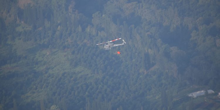 Apagan el incendio forestal en el volcán Atitlán
