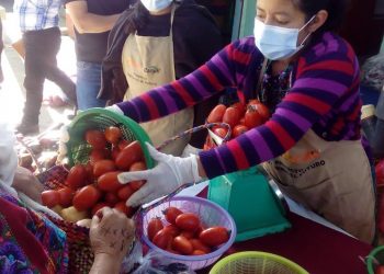 Programa de Alimentación Escolar supera los mil 500 proveedores locales