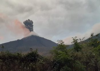 El volcán de Pacaya suma 55 días de actividad en parámetros altos