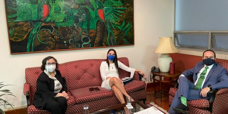 Avanzan reuniones preparatorias para la presidencia pro tempore del Sica en el segundo semestre del 2021.