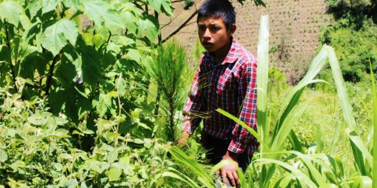 Cartera de Ambiente avanza en planificación para la adaptación al cambio climático