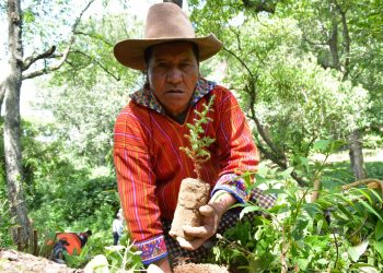 El mundo conmemora el Día de la Madre Tierra