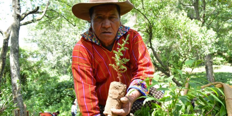 El mundo conmemora el Día de la Madre Tierra