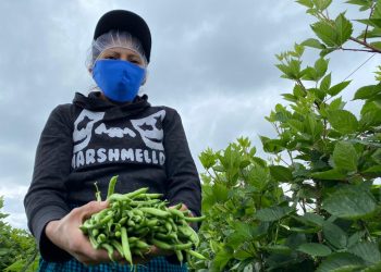 Productora mostrando sus cosechas