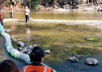 El Gobierno de Guatemala trabaja en la conservación del medio ambiente