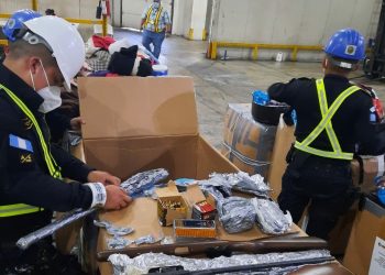 PNC incautó ramas en Portuaria Santo Tomás de Castilla./Foto: PNC.