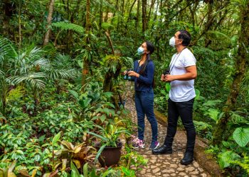 Efectuarán en Antigua Guatemala Feria de Observación de Aves