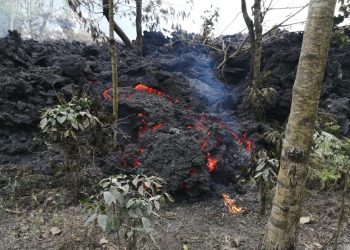 Flujos de lava continúan avanzando y generan riesgo para cultivos